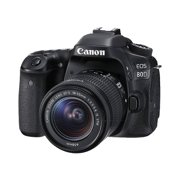 Donec ullamcorper turpis - Image 3