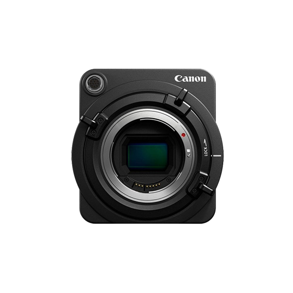 Donec ullamcorper turpis - Image 4